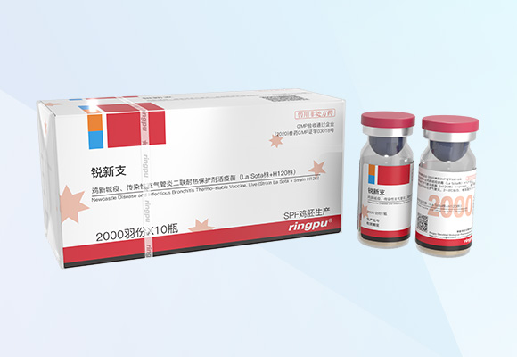 ÓŵÂ88(ÖйúÇø)¹Ù·½ÍøÕ¾