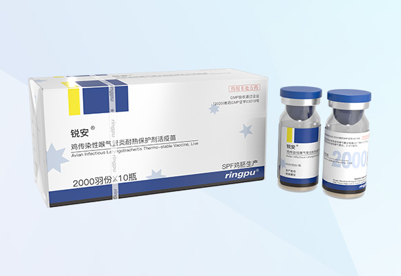 ÓŵÂ88(ÖйúÇø)¹Ù·½ÍøÕ¾