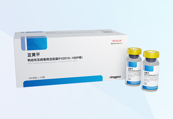 ÓŵÂ88(ÖйúÇø)¹Ù·½ÍøÕ¾