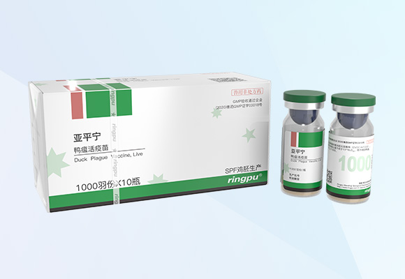 ÓŵÂ88(ÖйúÇø)¹Ù·½ÍøÕ¾