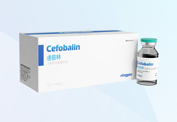 ÓŵÂ88(ÖйúÇø)¹Ù·½ÍøÕ¾