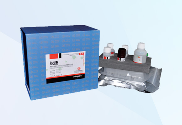 ÓŵÂ88(ÖйúÇø)¹Ù·½ÍøÕ¾