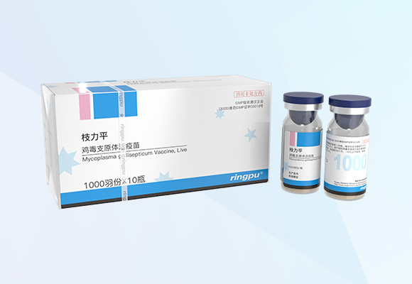 ÓŵÂ88(ÖйúÇø)¹Ù·½ÍøÕ¾