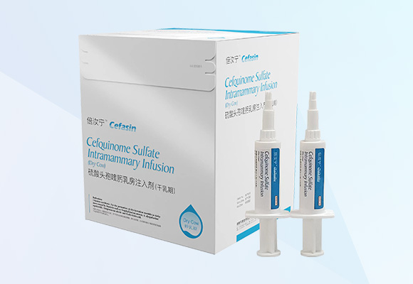 ÓŵÂ88(ÖйúÇø)¹Ù·½ÍøÕ¾