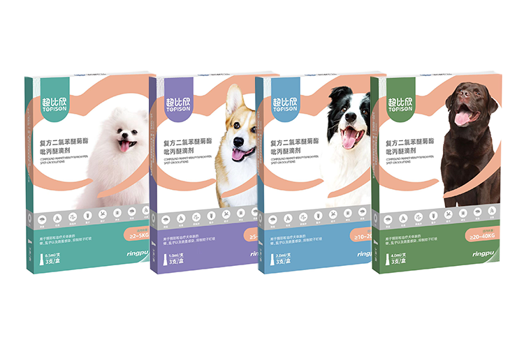 ÓŵÂ88(ÖйúÇø)¹Ù·½ÍøÕ¾